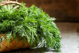 Dill Olive Oil