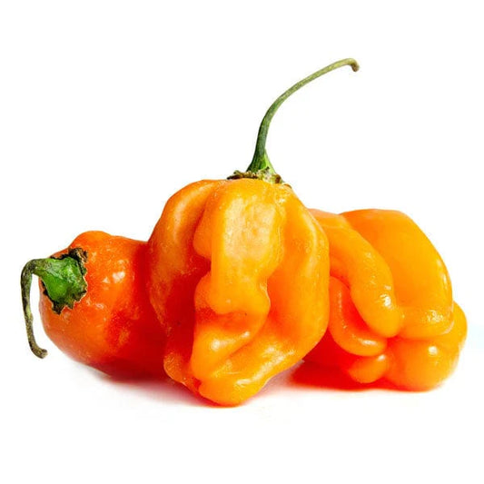 Habanero Olive Oil