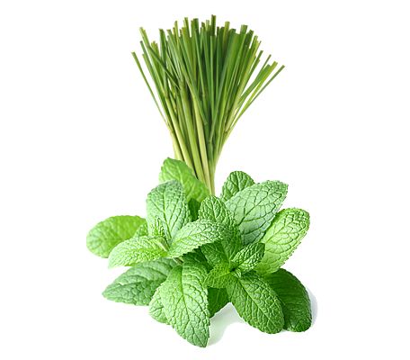 Lemongrass-Mint balsamic