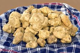 White Truffle Olive Oil