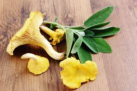 Wild Mushroom and Sage
