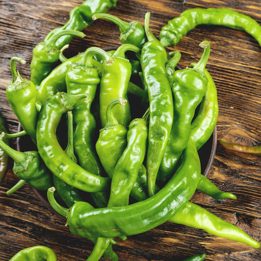 Baklouti Green Chili Olive Oil